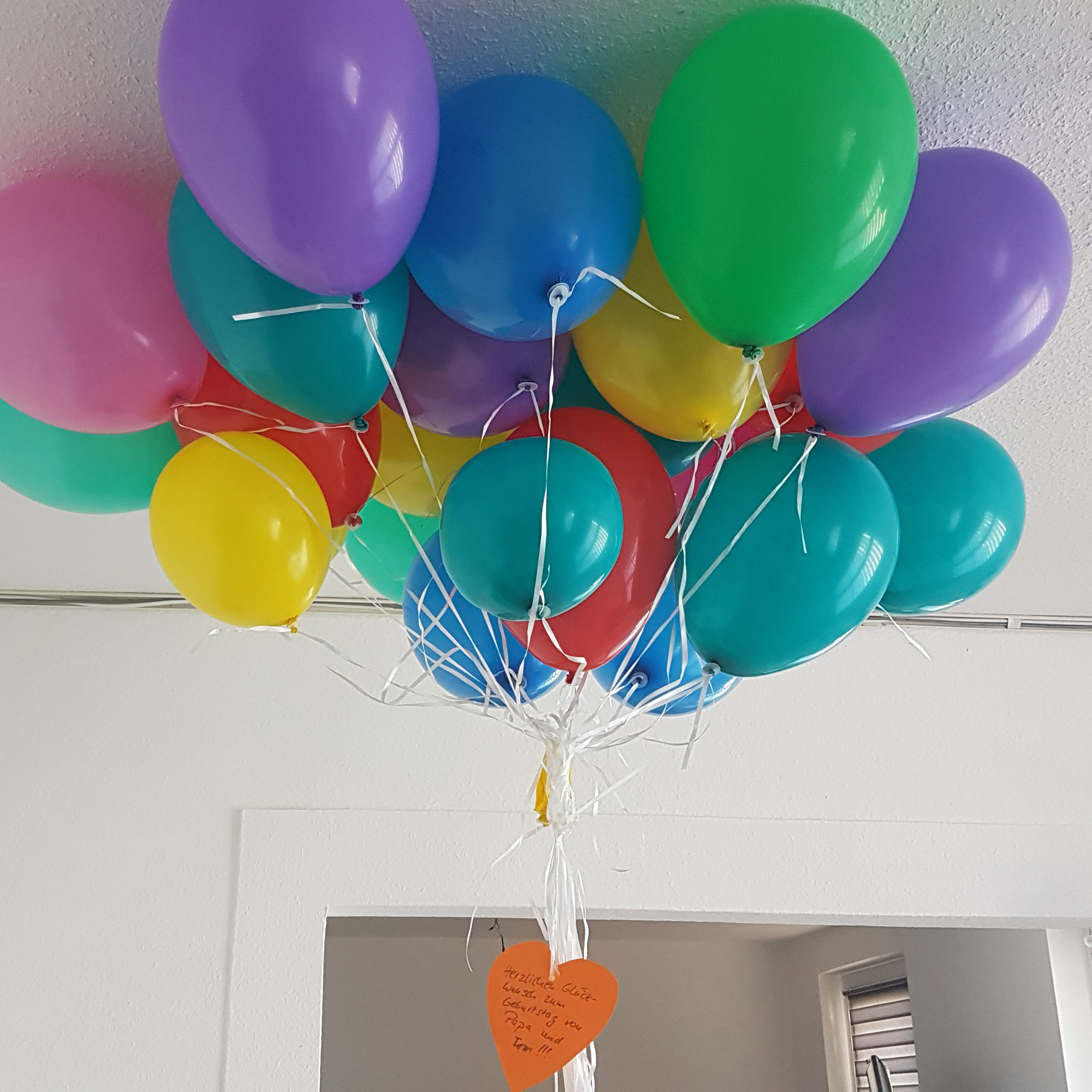 20180526_094553.jpg